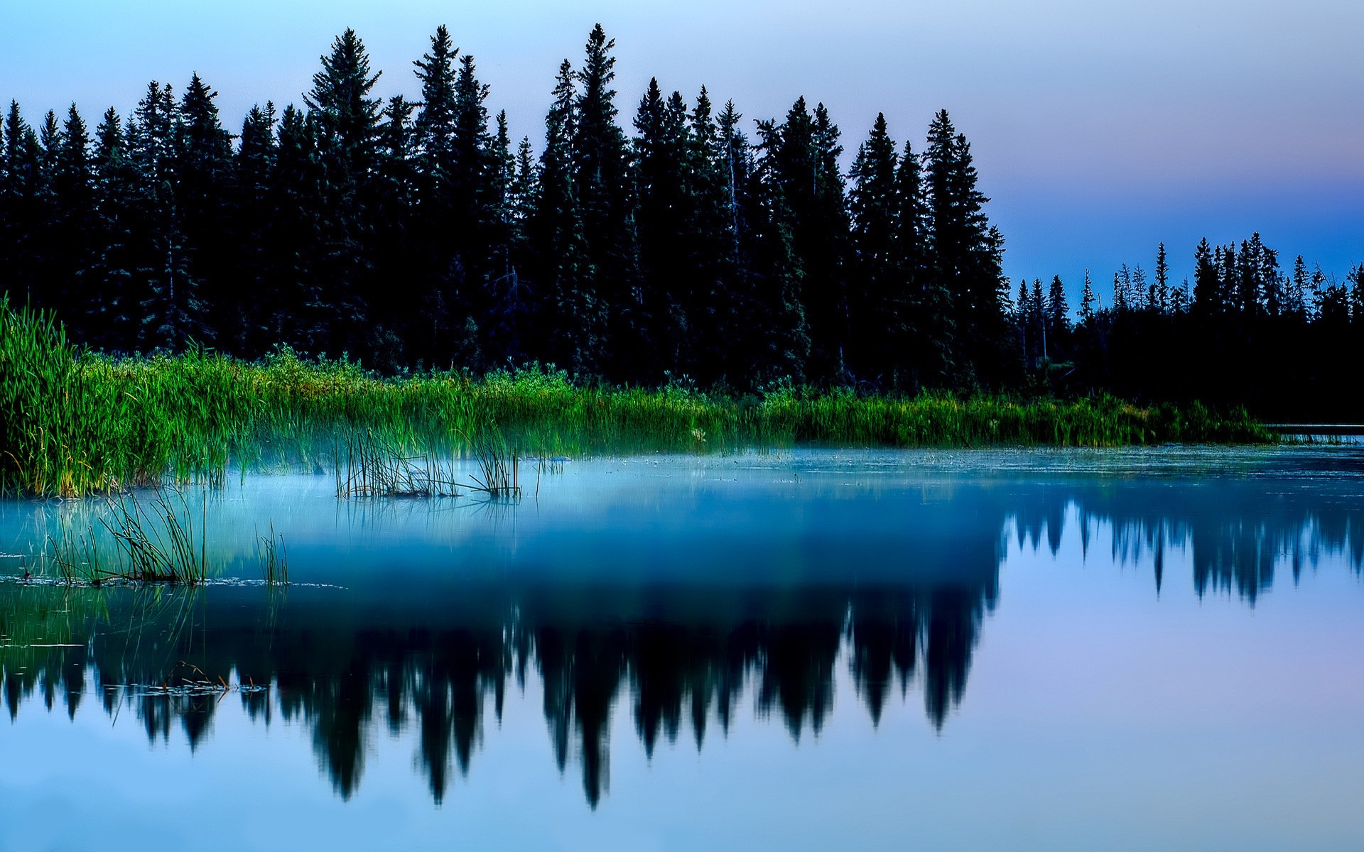 paysage lac eau réflexion nature dehors bois paysage bois rivière aube sang-froid fond arbres ciel