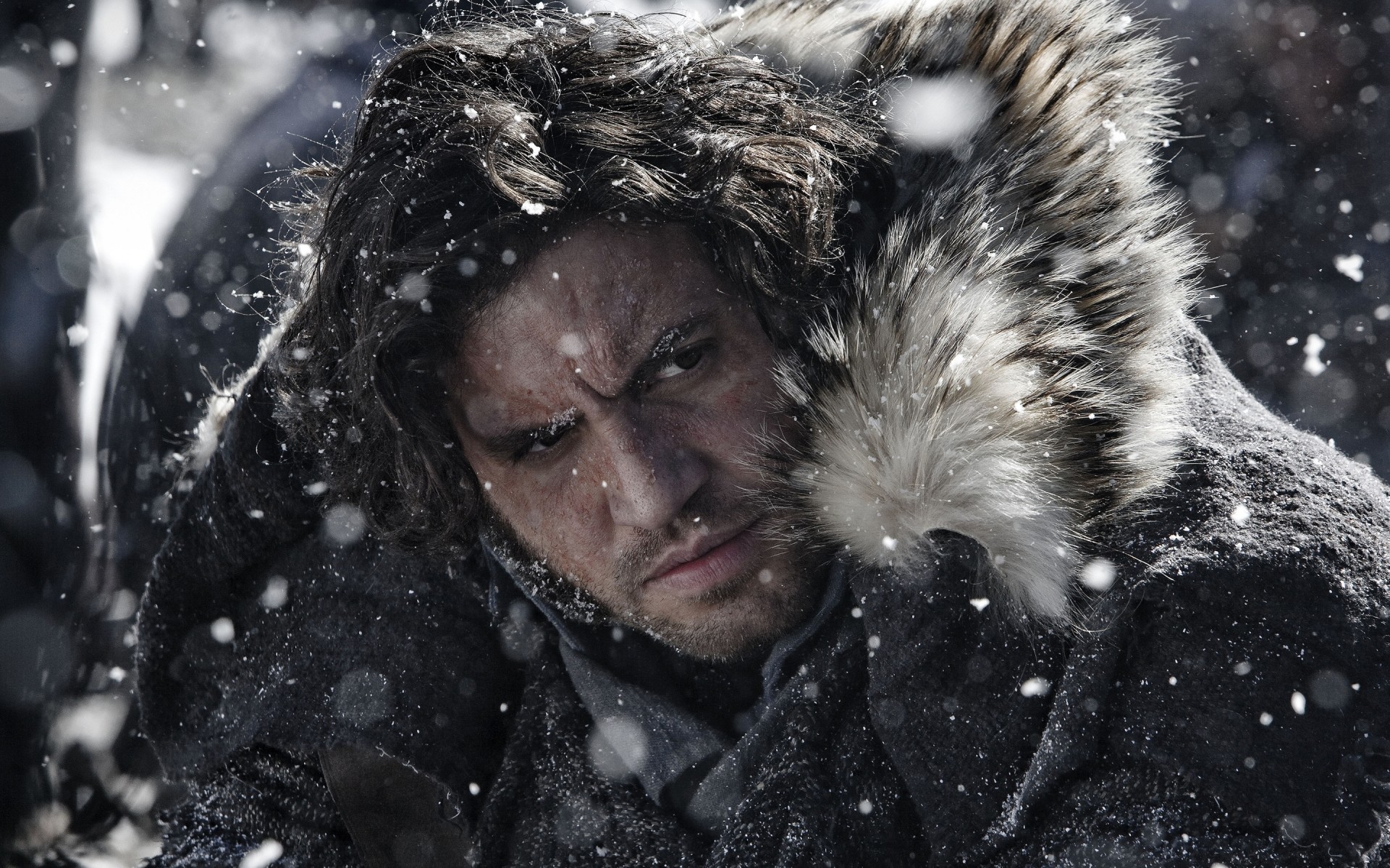 películas retrato invierno nieve naturaleza solo mojado frío mamífero lluvia al aire libre