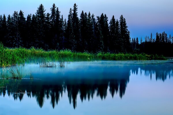 Beautiful lake reflection landscape