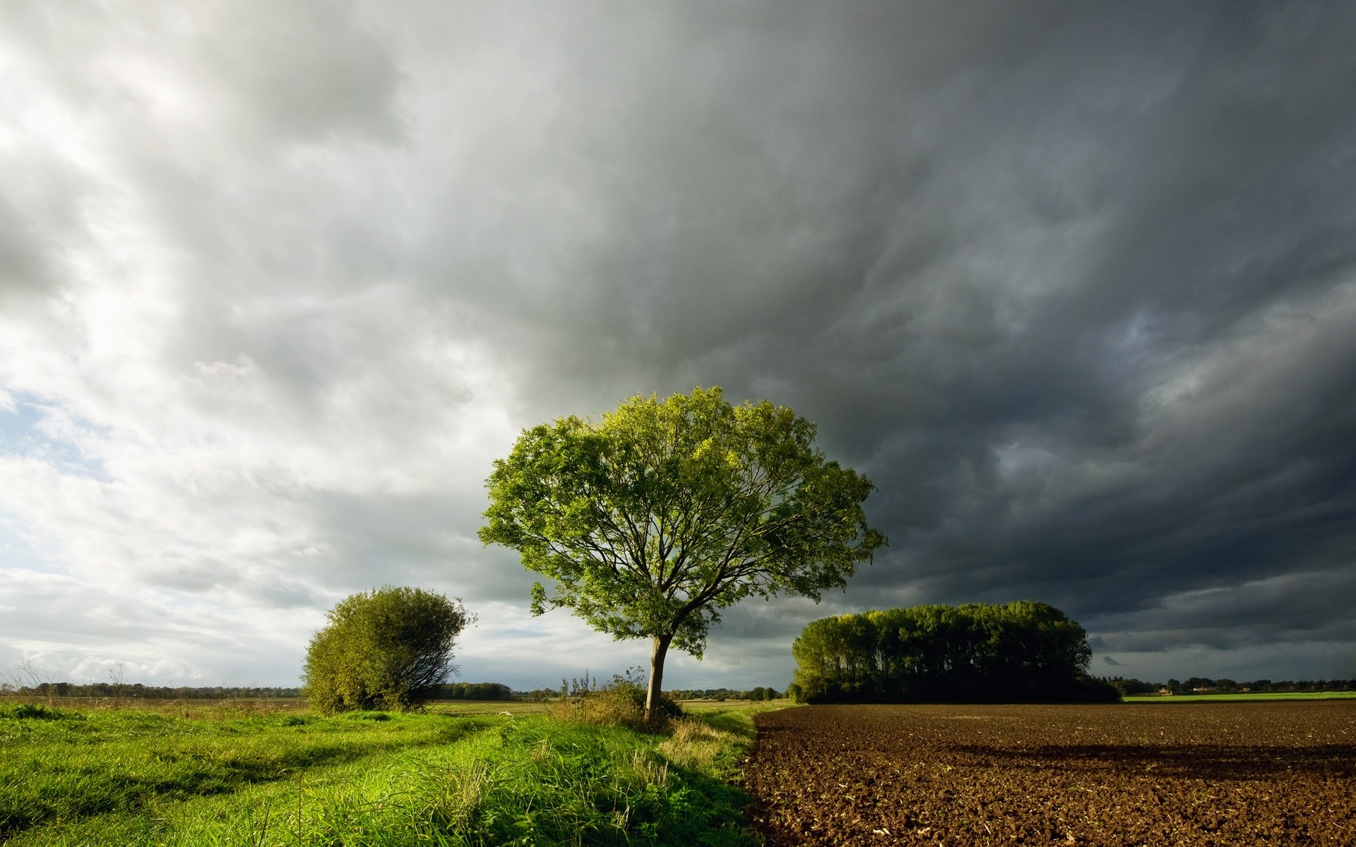 landscapes landscape tree sky nature rural countryside field storm grass sunset outdoors cloud agriculture cloudy sun dawn farm wood summer trees land clouds