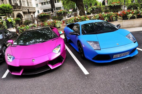 İki lüks Lamborghini pembe ve gök mavisi