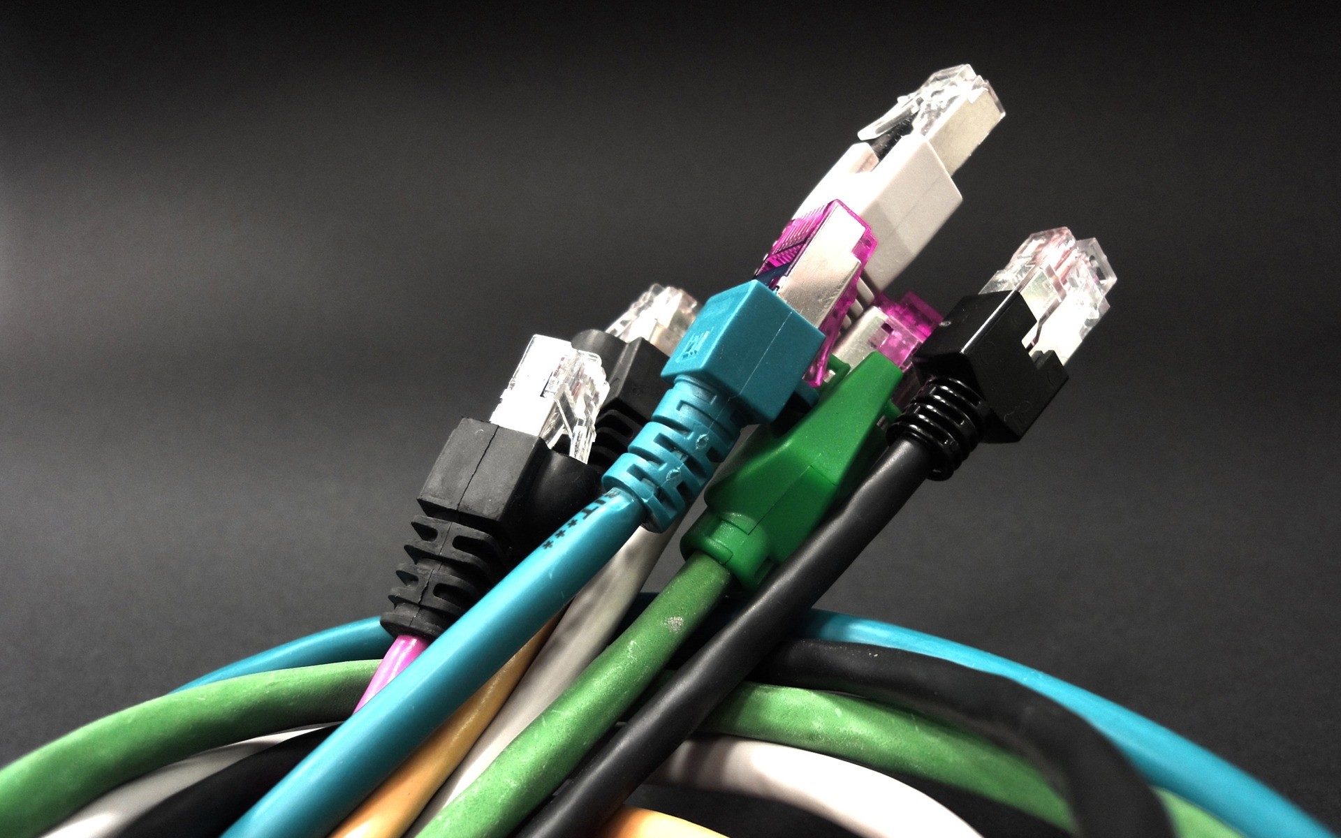 tecnologia digitale e software filo connessione tappo rete ethernet dati tecnologia elettronica cavo internet larghezza di banda elettricità plastica potenza variegato computer hardware banda larga rete rete colori varietà mondo