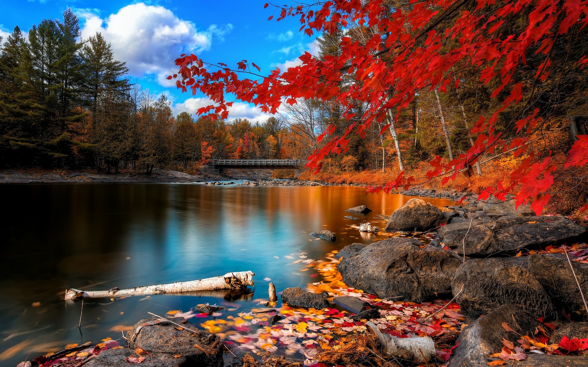 autumn fall water river landscape tree outdoors nature leaf travel wood forest woods