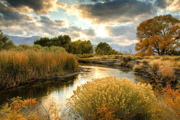 Beau paysage d automne avec un plan d eau