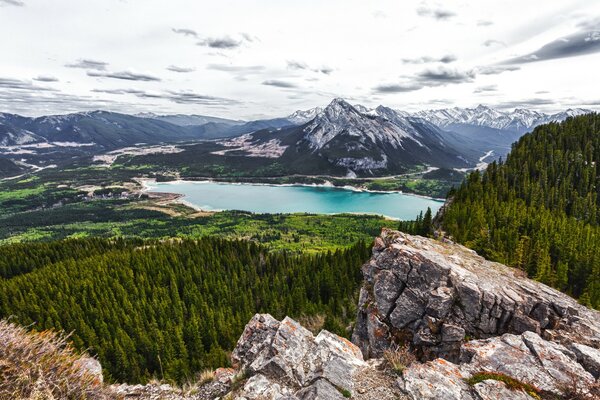 森林上方的山景