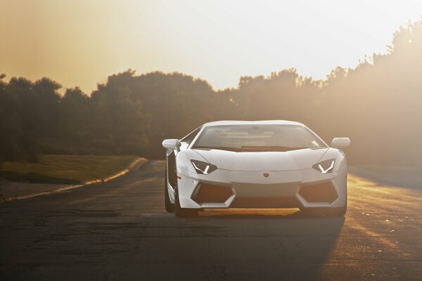 Белый lamborghini aventador lp700-4 на дороге на закате