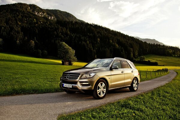 Viajante. Mercedes no interior rural