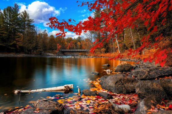 Paisagem de outono com um belo rio