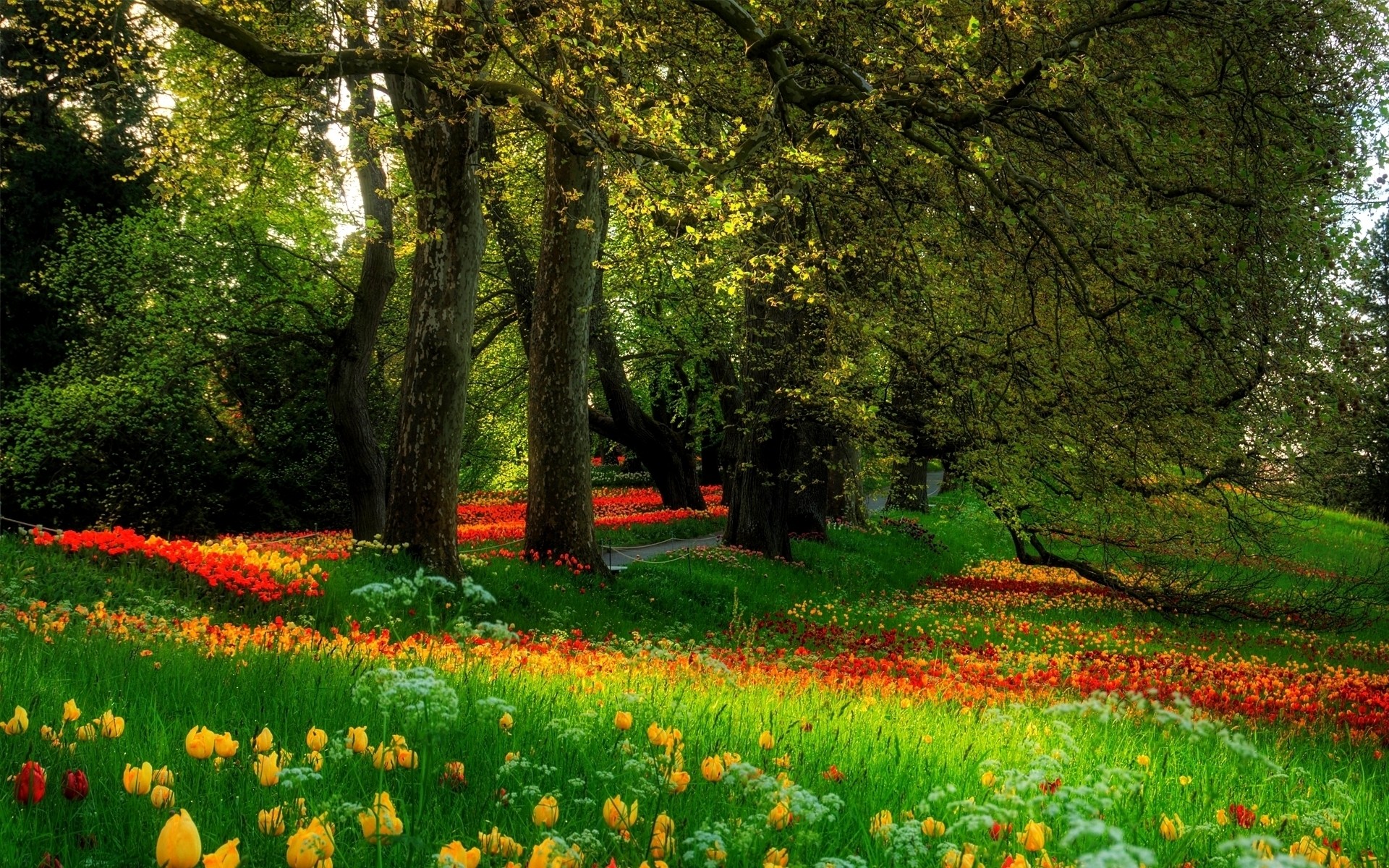 landscapes flower landscape nature leaf tree park season grass growth garden outdoors rural scenic countryside bright fair weather flora wood environment tress colors background