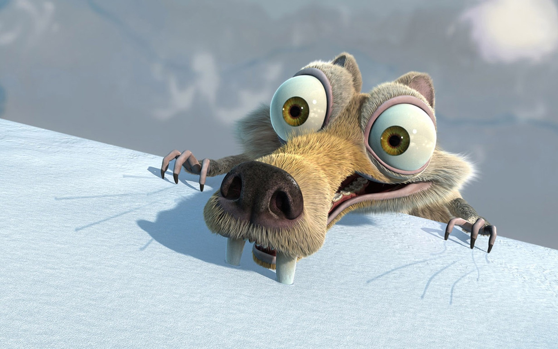 filmes neve inverno pássaro natureza animal gelado frio vida selvagem animação pixar comédia aventura