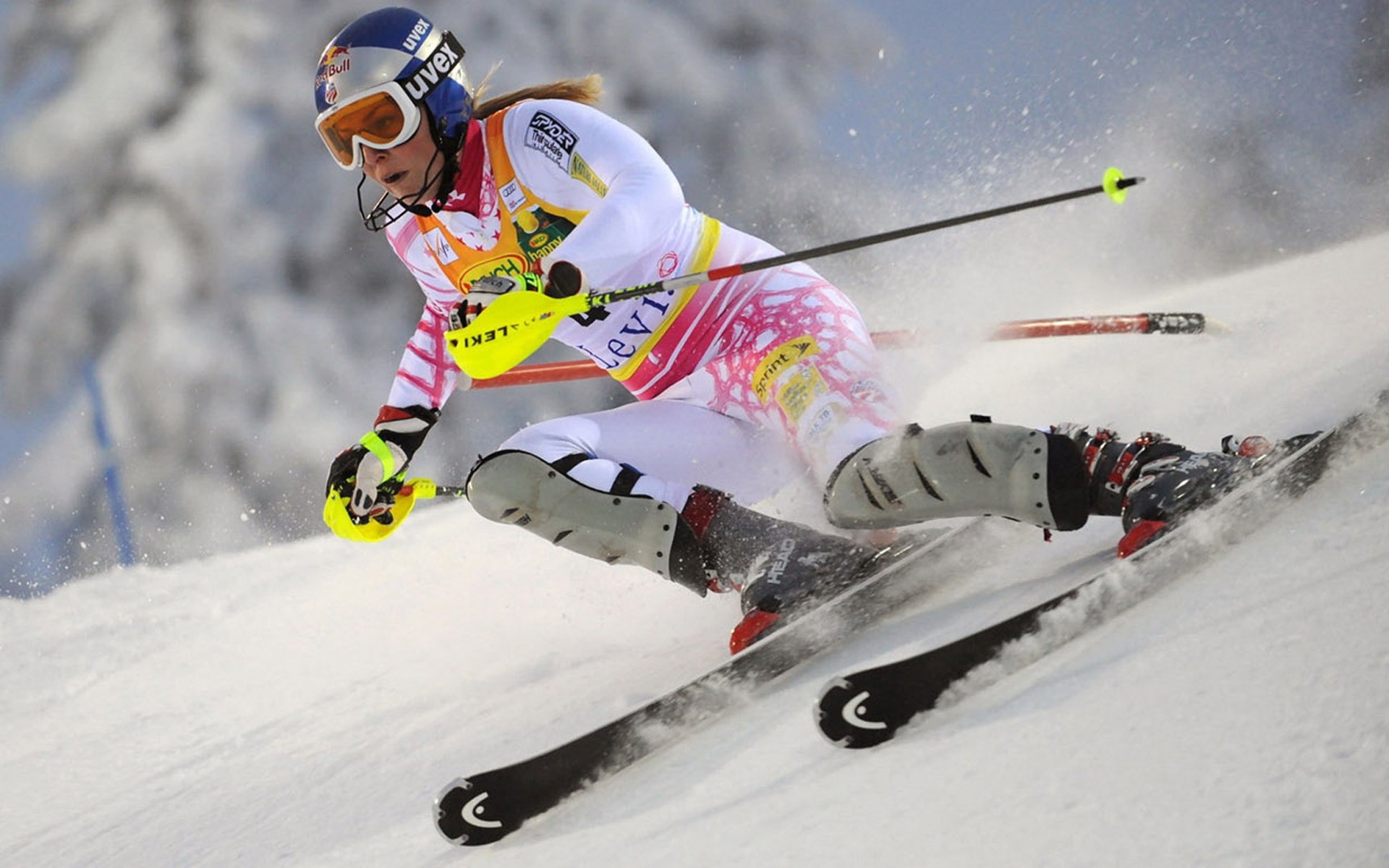 ski neige skieuse hiver compétition glace action course dépêchez-vous lunettes descente sport loisirs alpine froid station amérique usa alpes rouge taureau