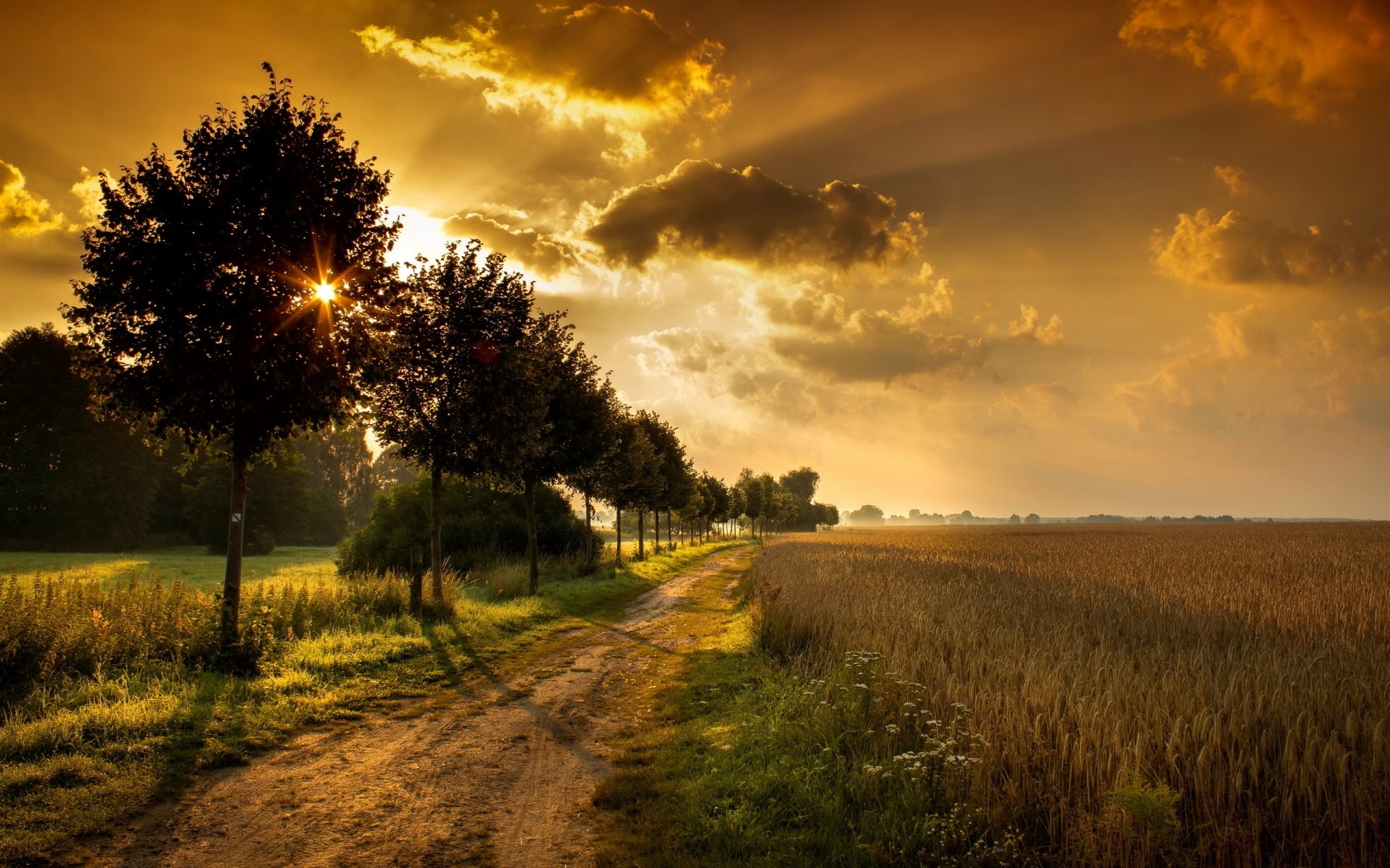 landschaft sonnenuntergang landschaft dämmerung sonne natur himmel baum landschaft abend des ländlichen im freien herbst gutes wetter licht gras nebel feld dämmerung sonnig straße erde getreide