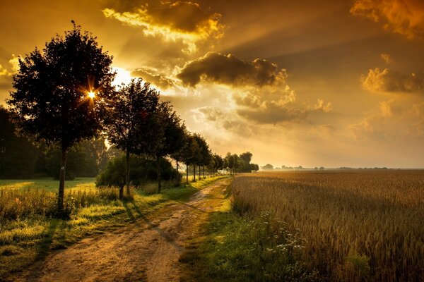 La strada che si estende verso l orizzonte