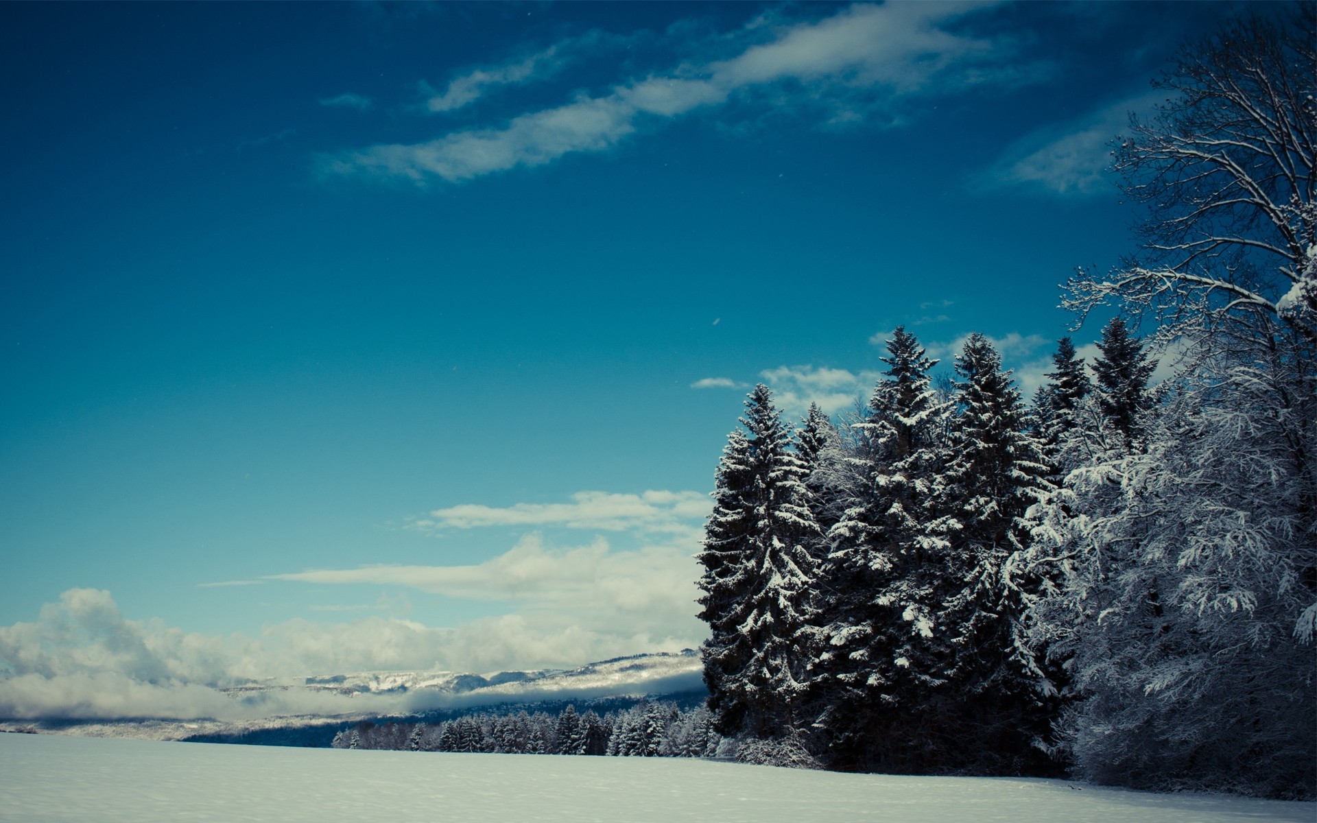 winter schnee landschaft kälte baum frost eis himmel natur berge wetter landschaftlich gefroren holz im freien frostig bäume hügel berge