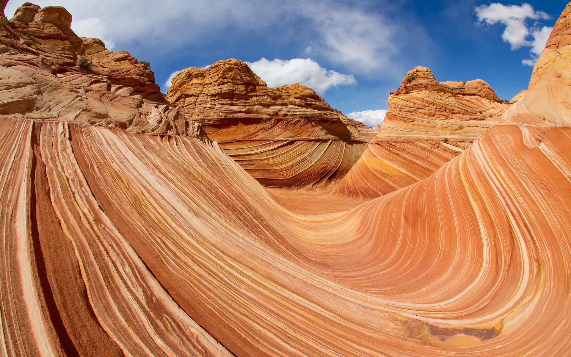 stati uniti arenaria paesaggio viaggi deserto roccia canyon scenico erosione geologia natura all aperto formazione geologica cielo secco coyote byut rocce linee texture nuvole