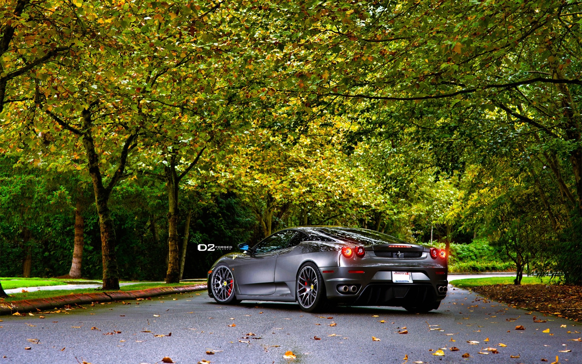 ferrari auto strada foglia marciapiede albero parco paesaggio autunno ferrari f430 ferrari f430 scuderia