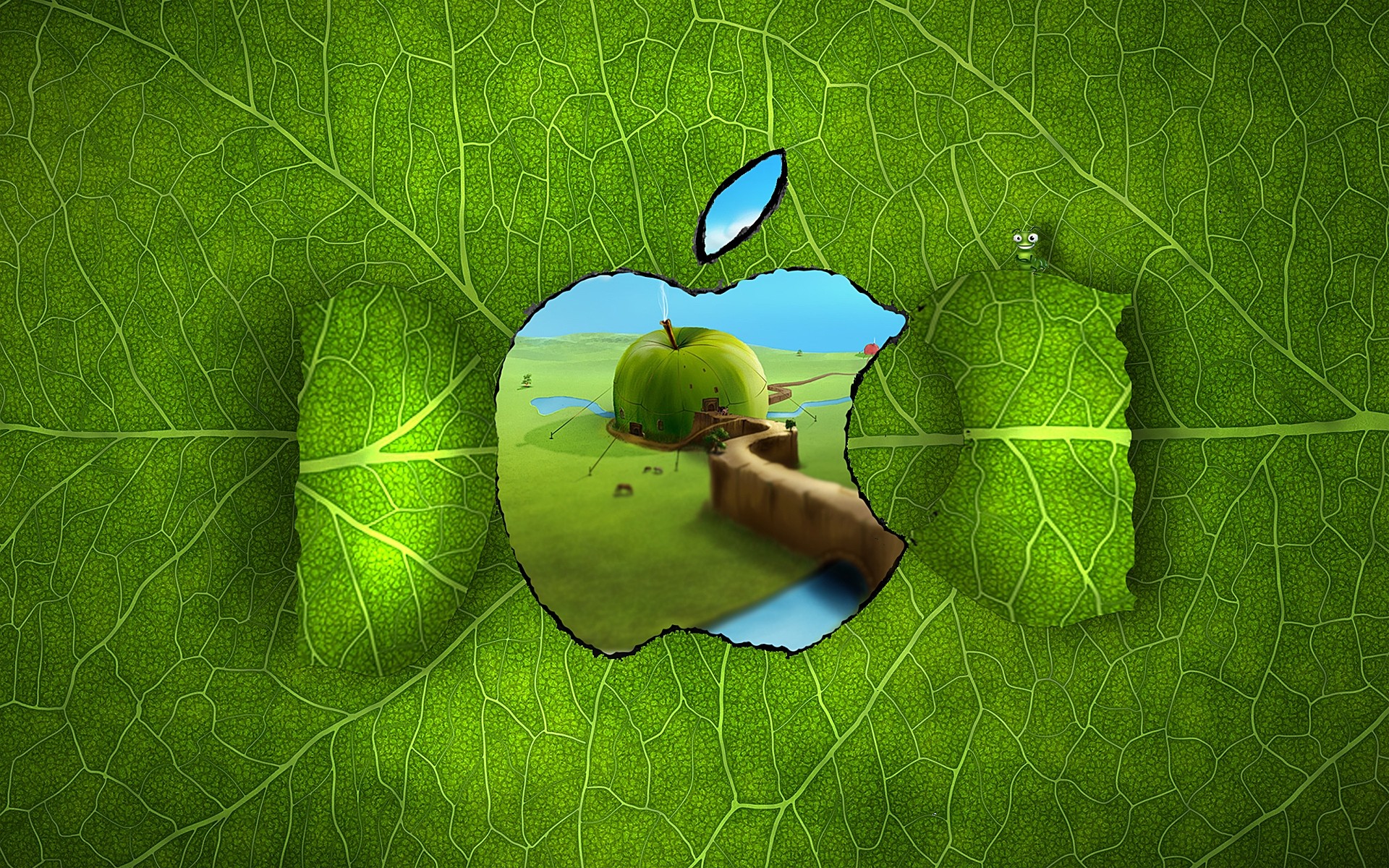 apple feuille nature environnement flore croissance grandir écologie été nourriture feuille de pomme pomme-vert fond fantaisie de pomme logo apple