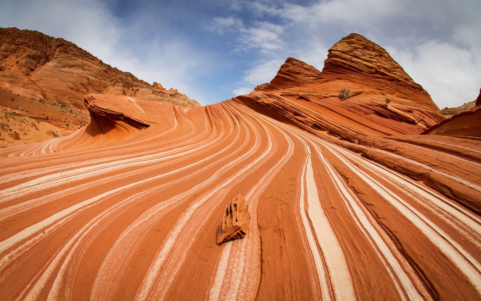 usa pustynia piaskowiec arid suchy podróż na zewnątrz przygoda piasek zachód słońca krajobraz jałowy geologia malowniczy świt natura deptać powierzchni kanion skały tekstury