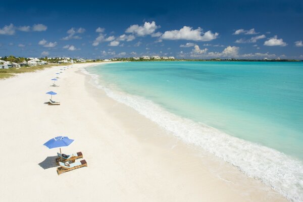 Sun beds and umbrellas on the seashore