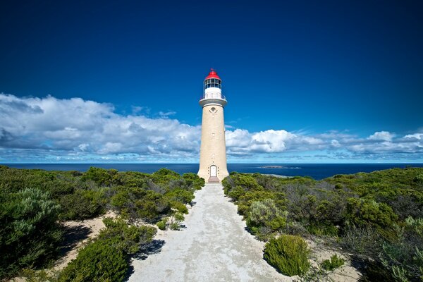 Australischer hoher Reisender für Schiffe