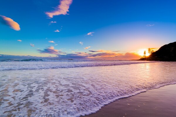 Coucher de soleil mer plage chatte