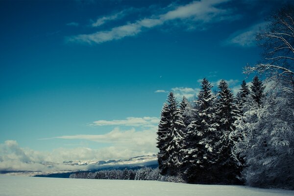 Paisaje nieve cielo y árboles