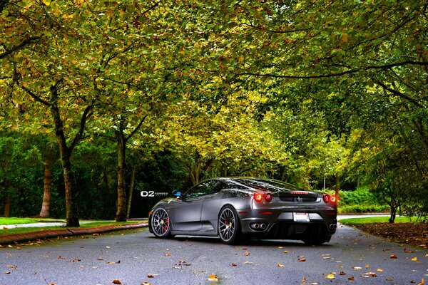 Ein Ferrari-Auto auf der Asphaltstraße des Parks