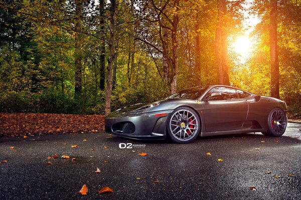 Ferrari car on asphalt covered with autumn leaves against a forest background