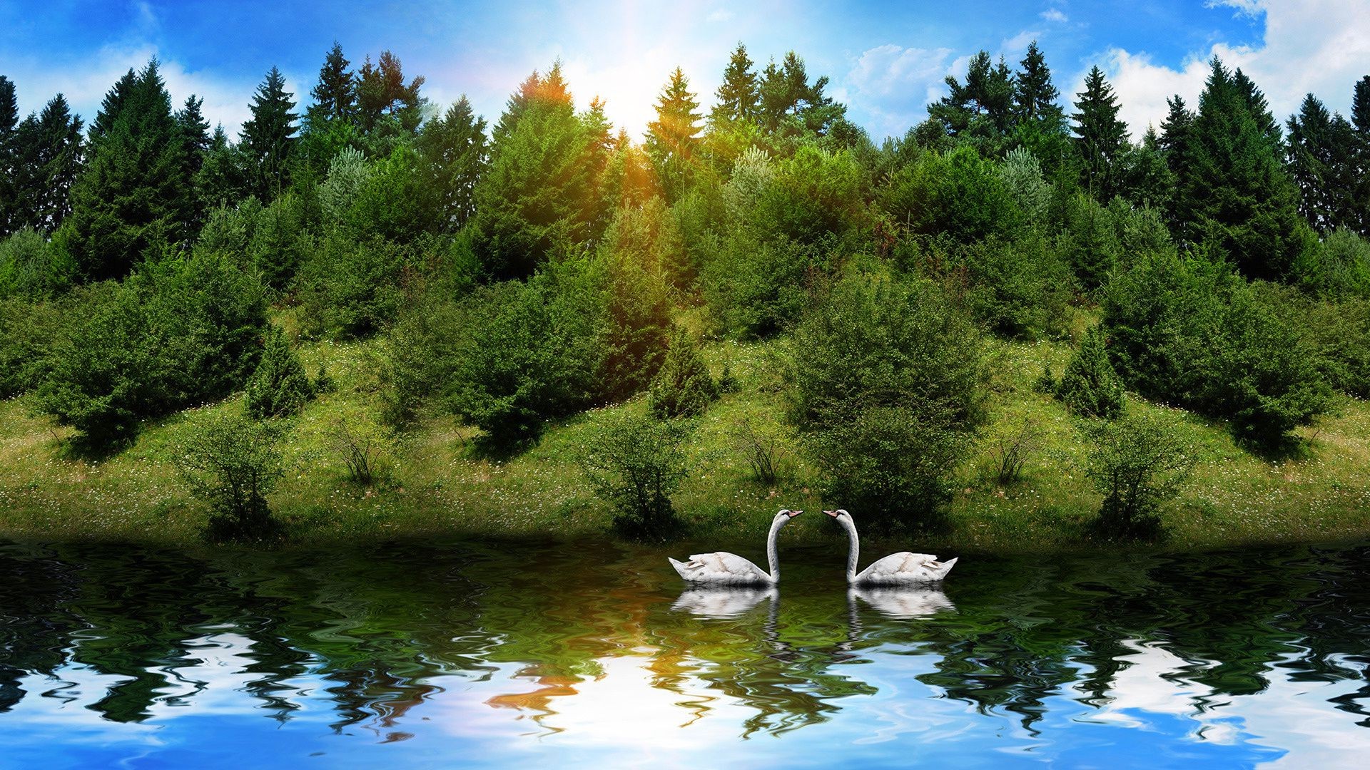 animali acqua lago fiume natura paesaggio albero legno parco all aperto scenic estate viaggi bella foglia piscina cielo riflessione autunno montagna