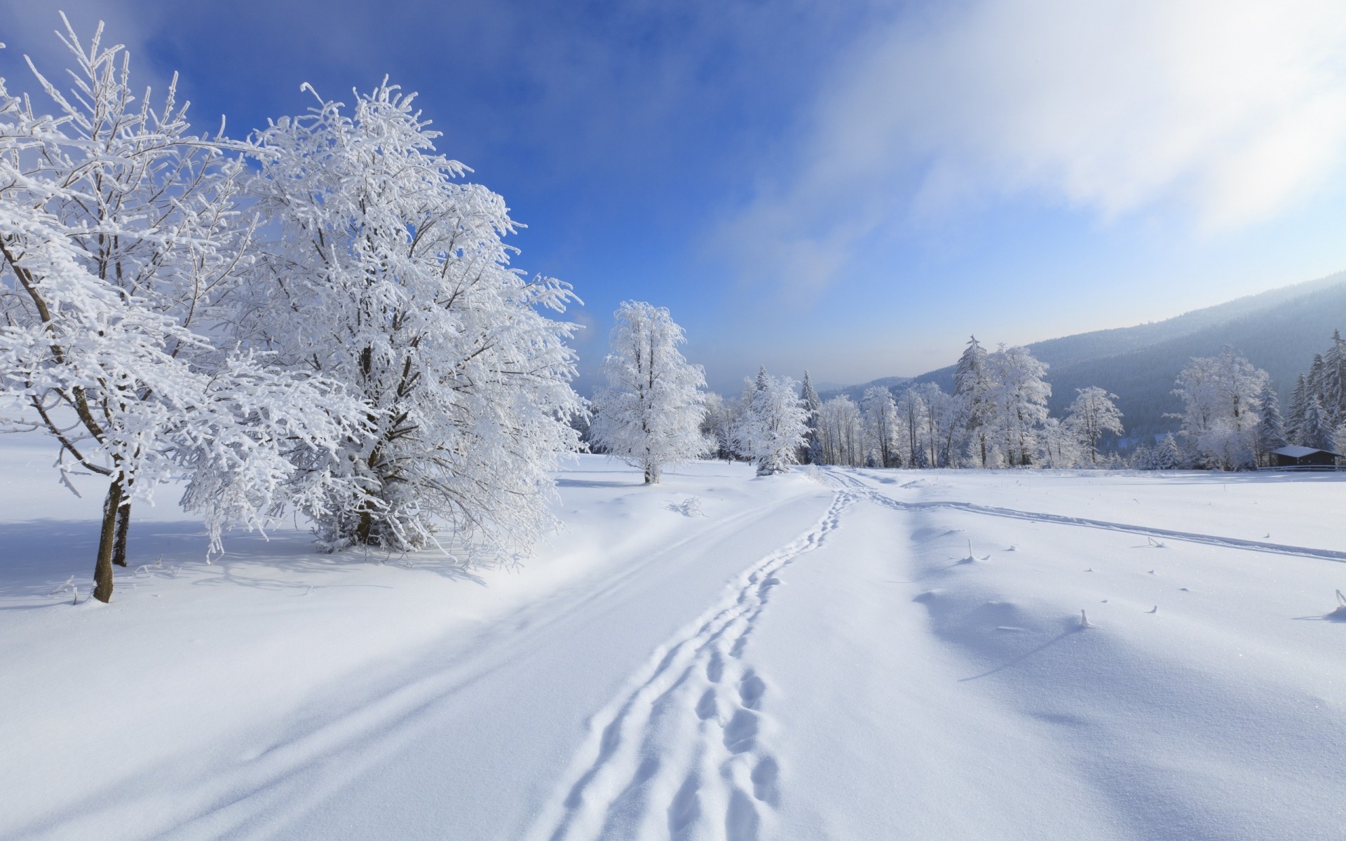 winter schnee kalt frost gefroren eis verschneit wetter holz landschaft landschaftlich saison frostig berge spur holz pulver schneesturm schneewehe weißer schnee verschneite landschaft hintergrund