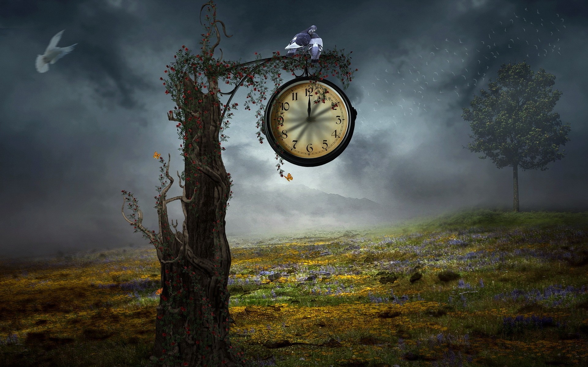 fantasy aube coucher de soleil ciel nature brouillard paysage temps début à l extérieur bois soir soleil voyage crépuscule bois horloge herbe arbre de fleur horloge vintage fond