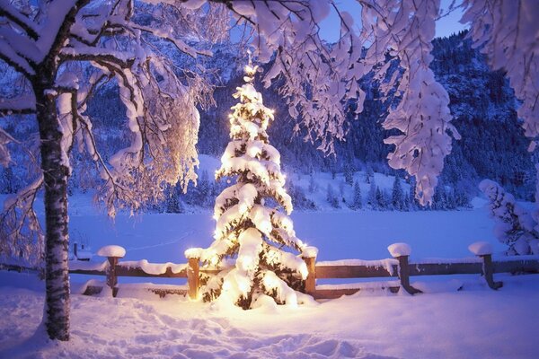 Nieve belleza estado de ánimo de Navidad