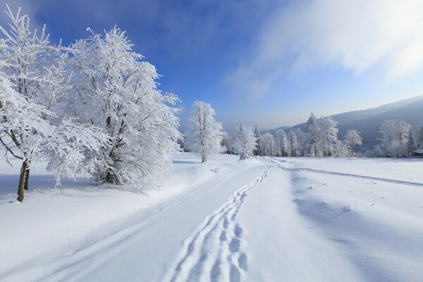 Landschaft des kalten verschneiten Winters