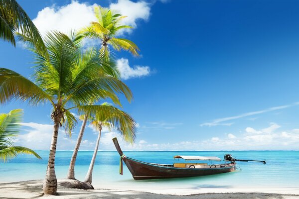 Tropical beach on paradise island