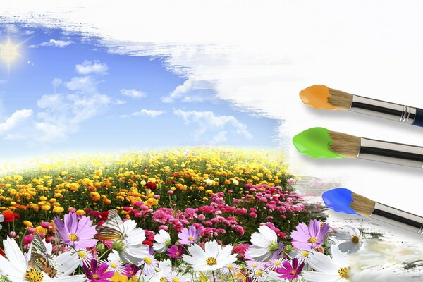 Drawings of summer nature with bright flowers