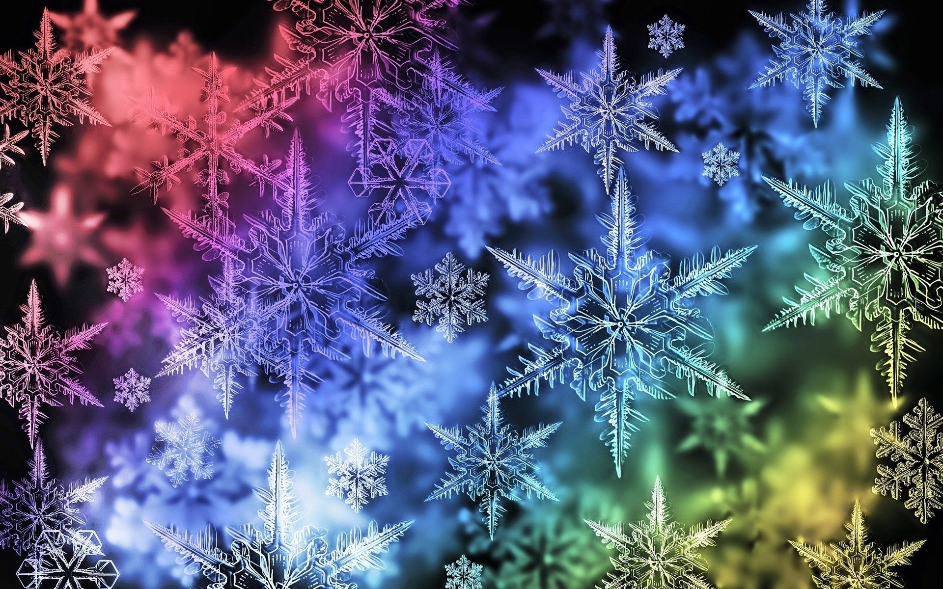 nuovo anno natale gelo inverno desktop stagione decorazione natura colore luminoso neve fiocco di neve fiore