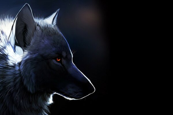 El hocico de un lobo negro con ojos rojos. Hombre lobo. Saga Crepúsculo