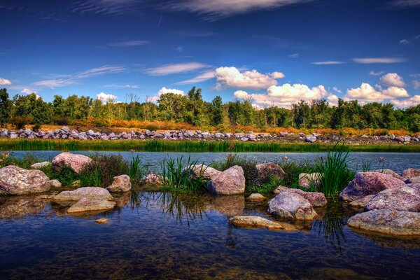 Hermoso paisaje acuático y piedras