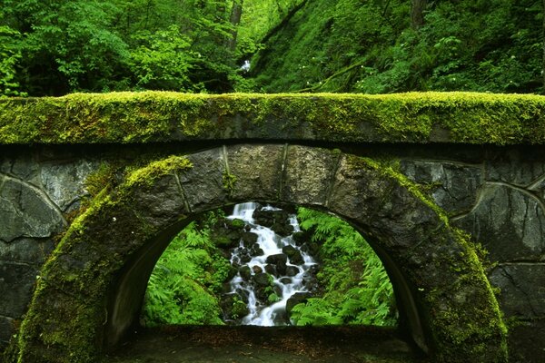 Bellissimo paesaggio vicino all acqua in viaggio