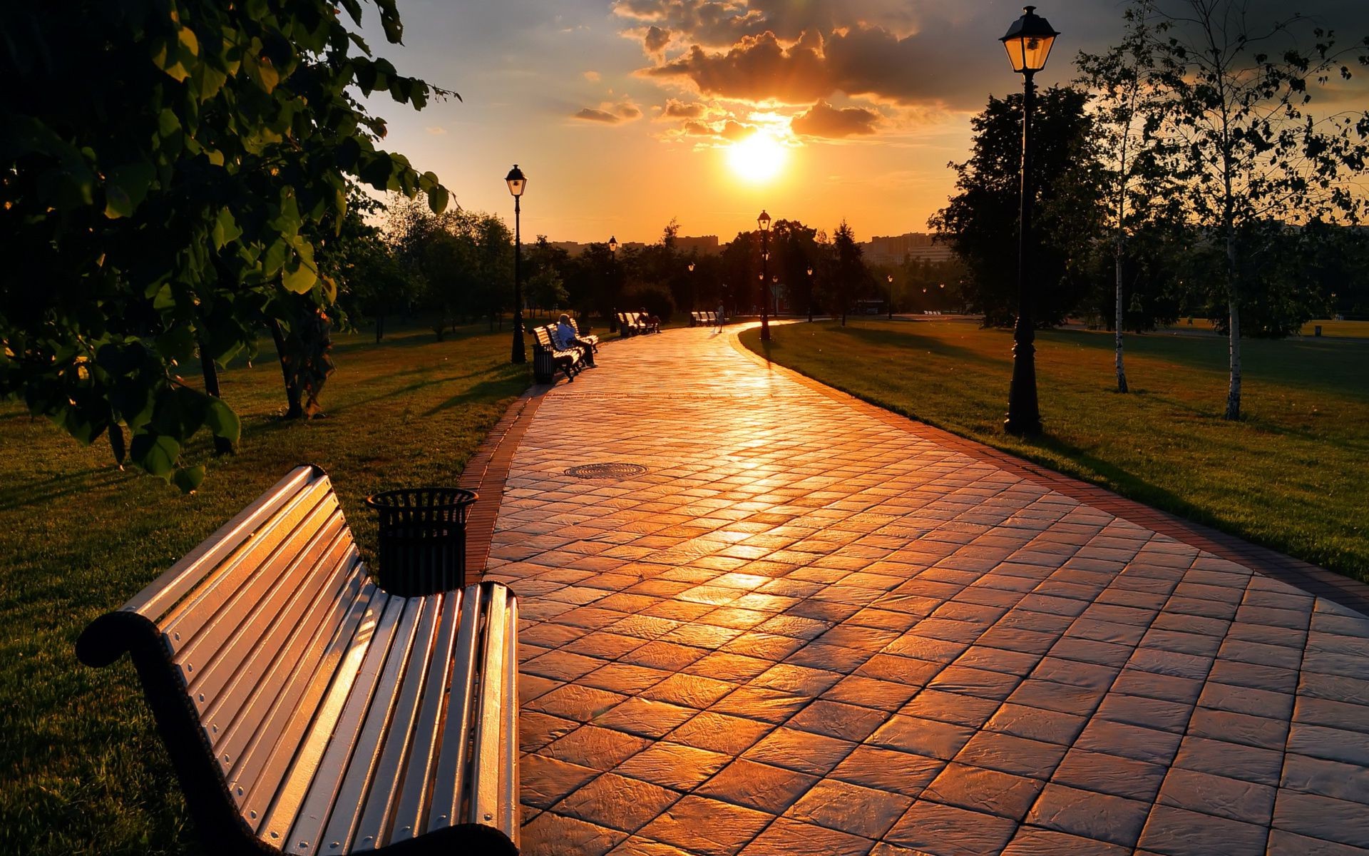 ville coucher de soleil aube lumière voyage arbre paysage à l extérieur rue banc soirée parc soleil