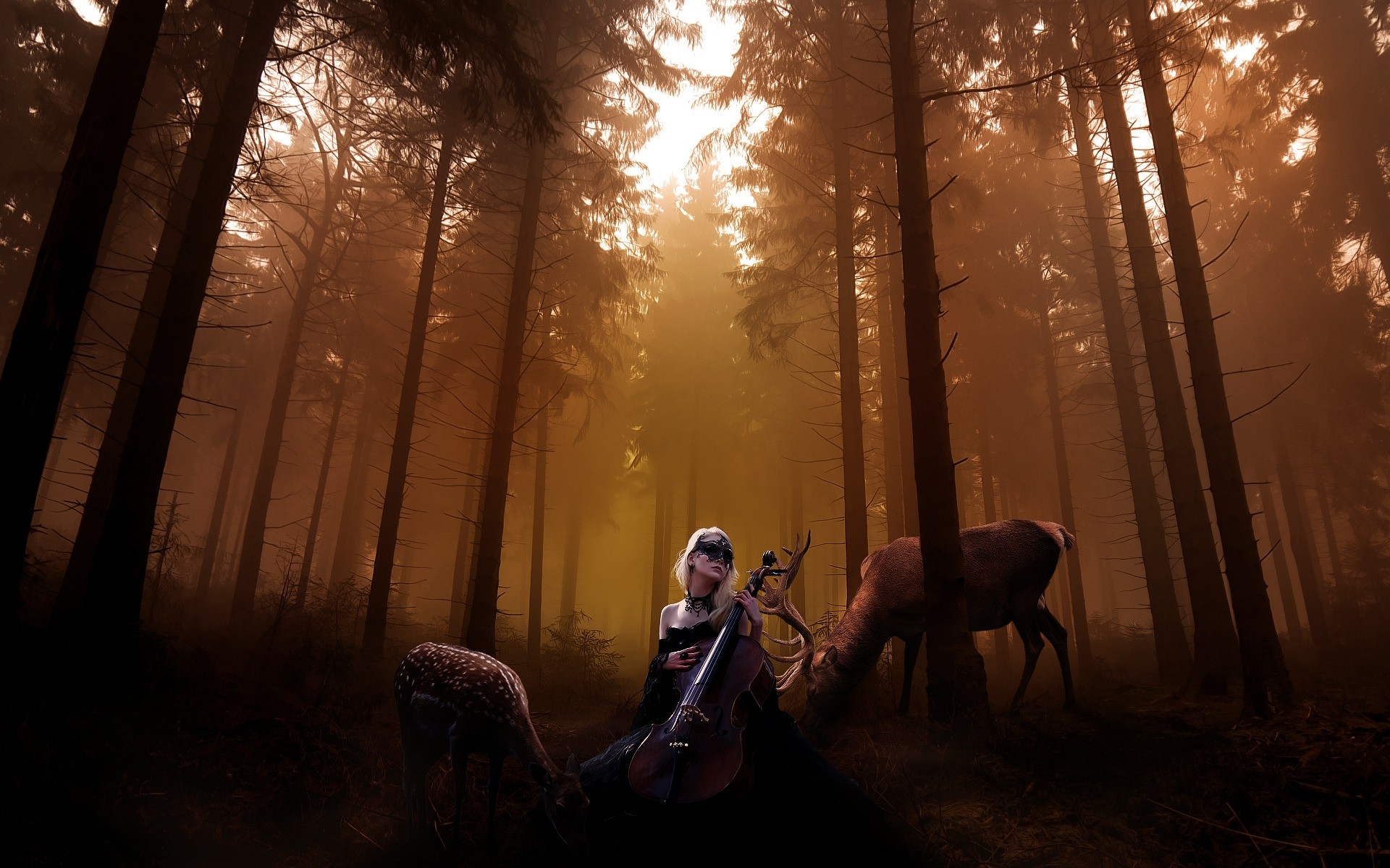 photo manipulation light backlit dawn shadow landscape fog wood sunset man adult evening tree one sun deer stag