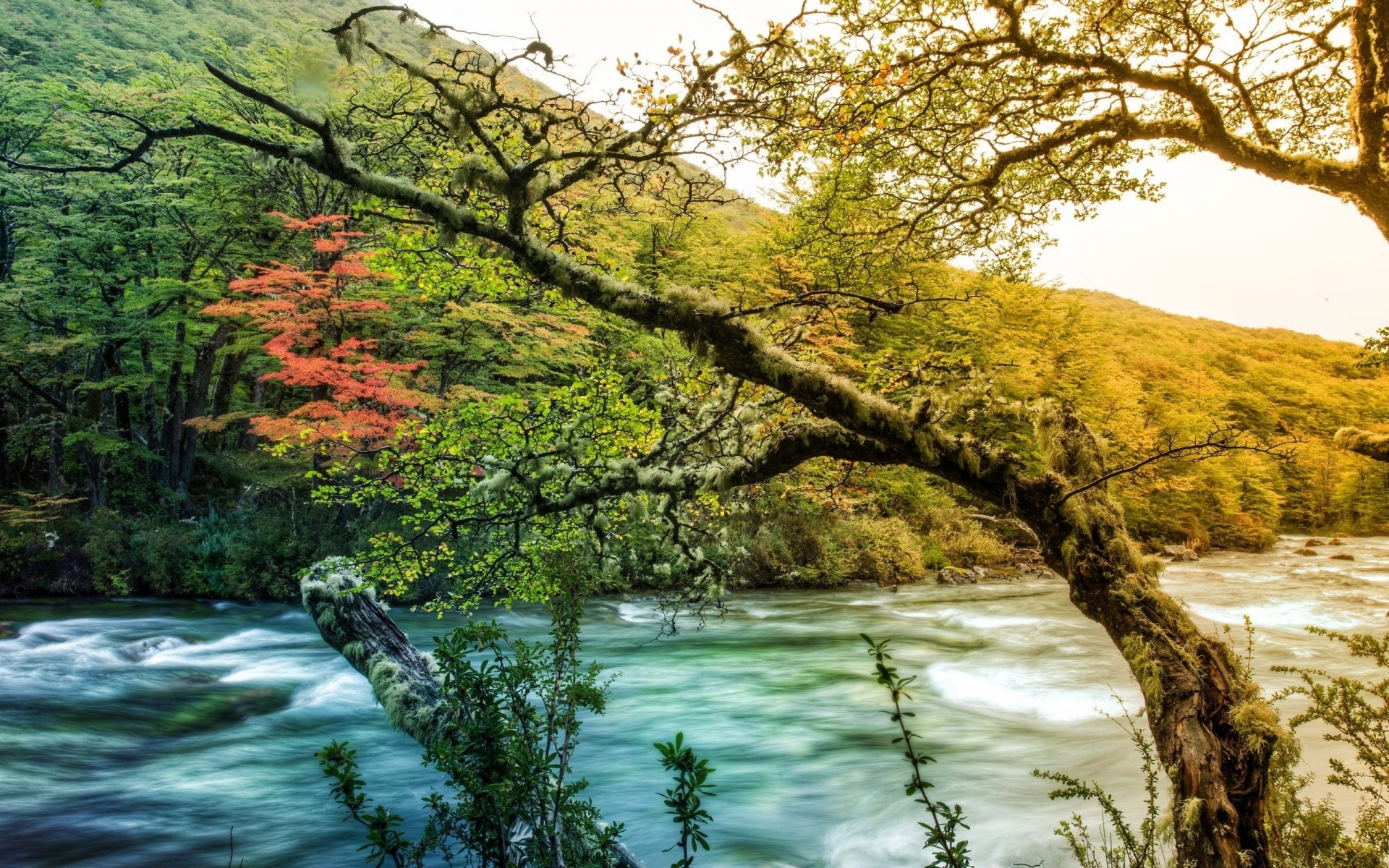 espacio naturaleza agua paisaje árbol madera otoño río hoja escénico al aire libre paisaje flujo temporada viajes medio ambiente parque lago verano montaña cartel rvb fondo rvb modo hdr paisaje foto hdr hi res rvb