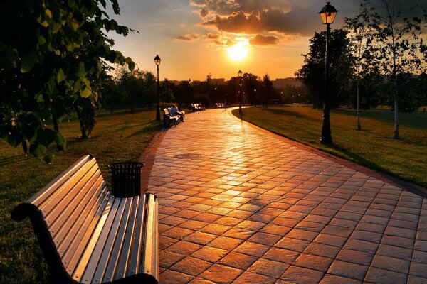 Allée de nuit avec des bancs et des lanternes