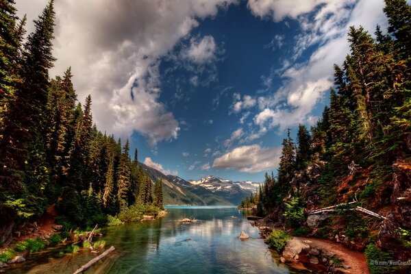 Landscape of forest, mountains and pond