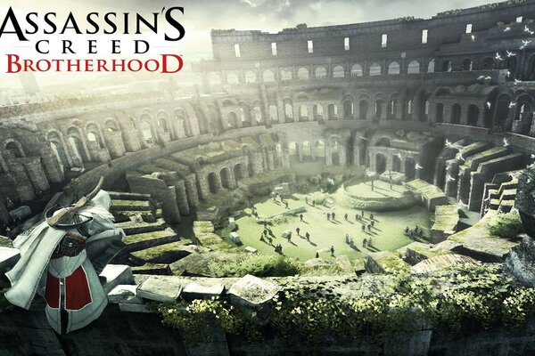 Architektura Koloseum Assassin s creed