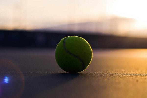 A yellow tennis ball lying on the surface of the court