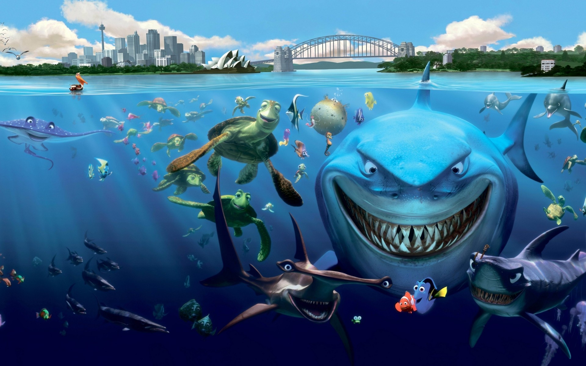 cartoons water underwater travel ocean sea fish tropical nature underwater creatures sharks turtles