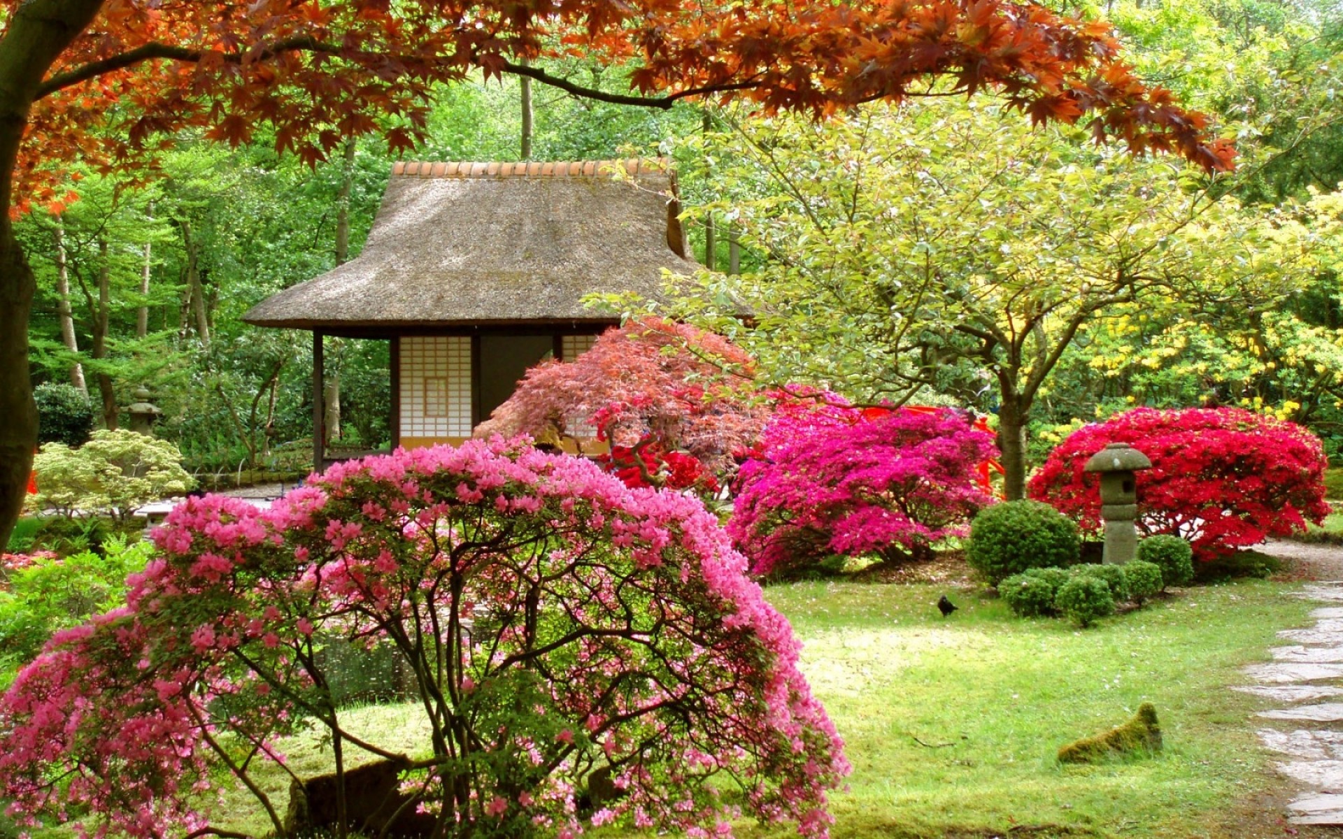 cenário jardim flor árvore folha parque natureza flora temporada madeira paisagem cor quintal gramado ao ar livre verão outono botânico arbusto casa árvores fundo