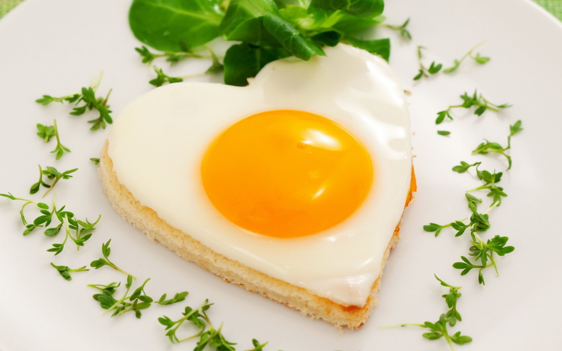 breakfast egg egg yolk food nutrition delicious toast dawn bread cooking lunch leaf meal dairy product butter healthy cholesterol health