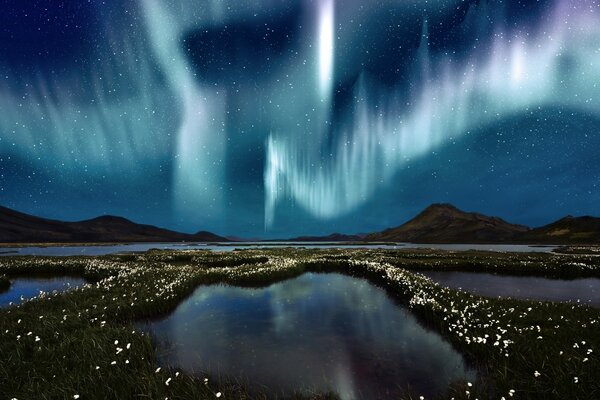 Beautiful field with a view of the Northern lights